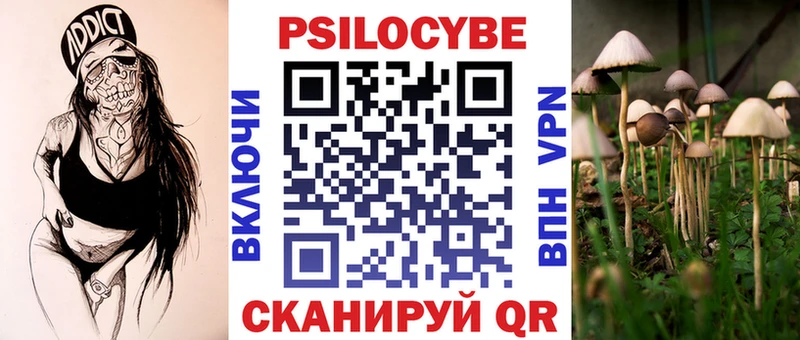 Псилоцибиновые грибы Cubensis  купить наркотик  дарк нет клад  Бодайбо 